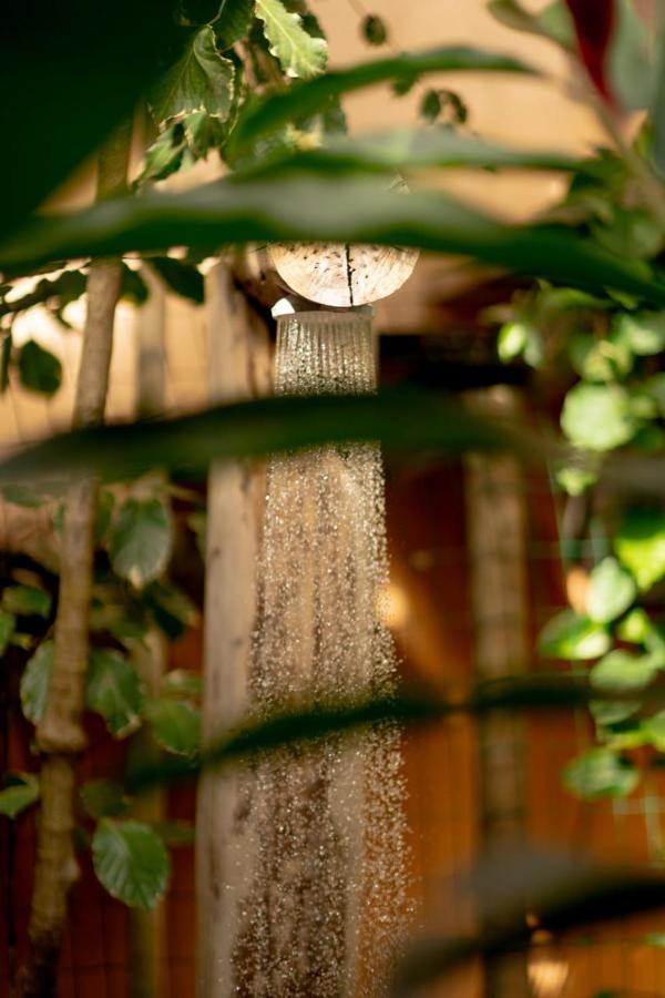 Bangalos Meu Jardim Caraíva المظهر الخارجي الصورة